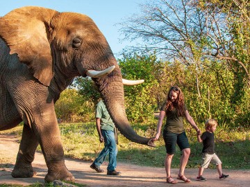 Elephant Sanctuary